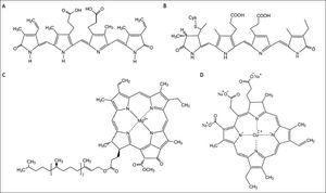 Structures of tetrapyrrolic compounds of human and algal origin. A. Biliverdin. B. Phycocyanobilin. C. Chlorophyll A. D. Chlorophyllin.