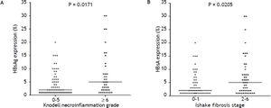 Corrélation de l'expression de l'HBsAg intrahépatique avec le grade de nécroinflammation de Knodell (A) et le stade de fibrose d'Ishak (B). Les comparaisons entre les groupes ont été analysées par le test U de Mann-Whitney.