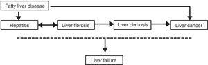 Schematic chart of chronic liver disease progress.
