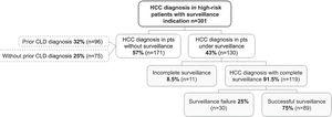 Characteristics of patients and their HCC surveillance.