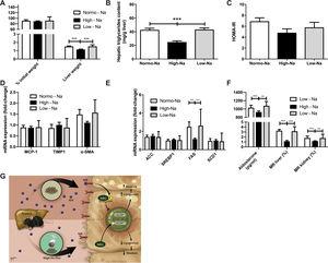 Mineralocorticoid Receptor Modulation By Dietary Sodium Influences Nafld Development In Mice Annals Of Hepatology