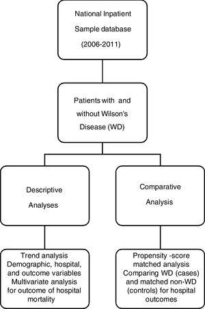 Study schematic: Analysis of the National Inpatient Sample for Inpatient Characteristics and Hospital Outcomes.