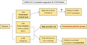 Current Suggestions for SARS-CoV-2 Vaccianation on CLD patient. (Ab: antibody, NAFLD: non-alcoholic fatty liver disease, ALD: alcohol associated liver disease, HCC: hepatocellular carcinoma, LT: liver transplantation, SARS-CoV-2: severe acute respiratory syndrome coronavirus 2, COVID-19: coronavirus disease 2019).