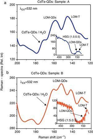 Comparative Raman emission spectra of the CdTe-QDs immersed in both H2O-aqueous solutions and SiO2-HSG environments: (a) Raman signals obtained from sample A in aqueous solutions. Inset figure: Raman signals obtained from the respective HSG-glass at (1.5:0.5) doping rate. (b) Raman signals obtained from sample B in aqueous solutions. Inset figure: Raman signals obtained from the respective HSG-glass at (1.5:0.5) doping rate. Raman experiments were carried out at λEX=532nm. The typical low-modes for low-dimensional CdTe-QDs nanocrystals can be recognized in both kinds of samples and environments.