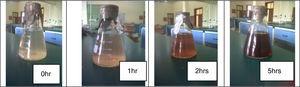Color change of the silver nanoparticles at different times.