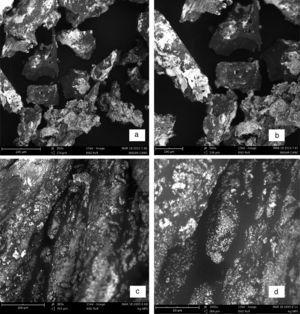 Scanning electron micrographs of silver nanoparticles (a, b) and nanocomplex (c, d) in different magnifications.