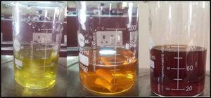 Increase in the color intensity of the reaction mixture with time for 5, 30 and 60min.