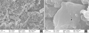 SEM images of silver nanoparticles in PVA matrix on different nanometric scale.