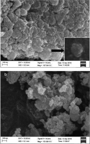 (a, b) HR-FESEM images of CaO2 nanoparticles.