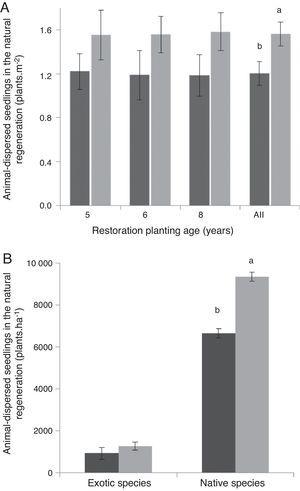 Mean regeneration density (±standard error) of animal-dispersed seedlings in forest restoration plantings of different ages (A) and of exotic and native animal-dispersed species (B) under the canopy of animal-dispersed (light gray) and abiotic-dispersed trees (dark gray) in Atlantic Forest restoration plantings, Piracicaba, southeastern Brazil. Only immigrant species (non-planted ones) were accounted. Bars followed by different letters significantly differ in the density of animal-dispersed seedlings (Student's t-test, p<0.05).