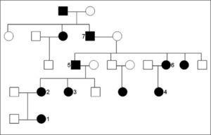 Árbol genealógico. Los parientes numerados son aquellos en los que contamos con el historial médico.