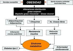 Mecanismos y factores determinantes de las complicaciones metabólicas asociadas a la obesidad.