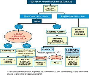 Resumen actuación diagnóstico-terapéutica en caso de sospecha de adenitis por micobacterias.