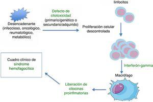 Fisiopatología general de los síndromes hemofagocíticos.