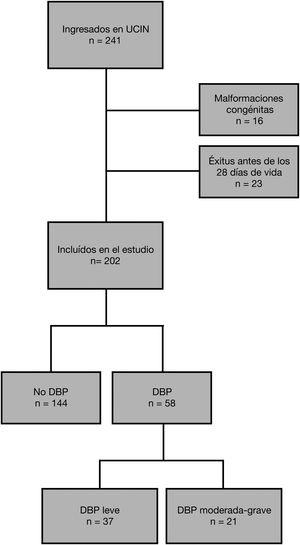 Diagrama de flujo de la población de estudio. DBP: displasia broncopulmonar; UCIN: Unidad de Cuidados Intensivos Neonatales.