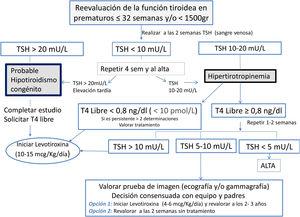 Algoritmo diagnóstico de la evaluación de la función tiroidea en prematuros.