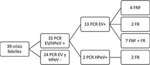 Diagrama de flujo de los pacientes incluidos en el estudio. EV: enterovirus; FNF: frotis nasofaríngeo; FR: frotis rectal, HPeV: parechovirus.