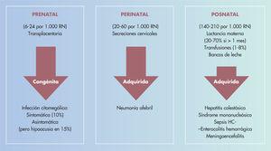 Transmisión del citomegalovirus al feto/neonato. RN: recién nacido.