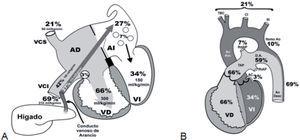 A) Esquema que muestra el retorno venoso fetal al corazón. B) Esquema del gasto ventricular combinado (GVC) de ambos ventrículos. Para mayor información véase el apartado «Circulación fetall».