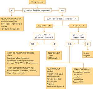 Etiología y algoritmo diagnóstico de la hiperpotasemia. AINE: antiinflamatorios no esteroideos; ARA-II: antagonistas de los receptores de la angiotensina II; GTTK: gradiente transtubular de K; IECA: inhibidores de la enzima conversiva de angiotensina.
