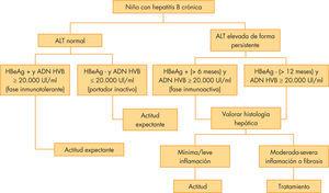 Algoritmo de decisión en hepatitis B. Modificado de Jonas et al2. ALT: alanino aminotransferasa; ; VHB: virus de hepatitis B.