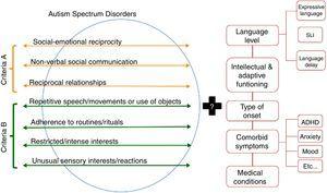 Proposed Diagnostic and Statistical Manual of Mental Disorders, 5th edition (DSM-5) criteria and associated features to be considered when characterizing autism spectrum disorder (ASM) samples (Grzadzinski et al., 2013, with permission).