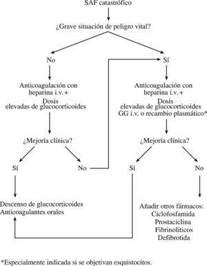 Algoritmo para el tratamiento del síndrome antifosfolipídico (SAF) catastrófico. GG: gammaglobulinas; i.v.: intravenosas.