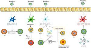 Inmunidad entrenada. Reprogramación epigenética en células de la inmunidad innata al estimular la inmunidad entrenada. Una vez reconocido el patógeno1 por un receptor, los monocitos experimentan una reprogramación epigenética (principalmente a través de metilaciones en el ADN) y cambios metabólicos, de modo que quedan preparados para responder más robustamente a una estimulación secundaria no específica (patógenos 1, 2 y 3).