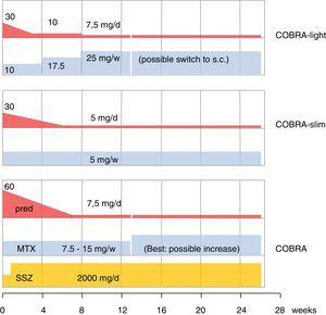Variations on the COBRA schedule. Based on: COBRA: Boers et al.,19 COBRA-light: den Uyl et al.,22 and COBRA-slim: Verschueren et al.23