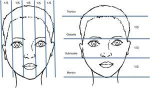 Height and width ratios of a face. A face is divided into five equal parts in the vertical plane and three equal parts in the horizontal plane.