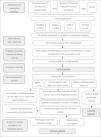 Questionnaires And Checklists For Central Auditory Processing Screening 