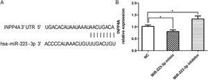 MiR-223-3p negatively regulates INPP4A expression. (A) The schematic of INPP4A mRNA shows a potential site in the INPP4A 3′-UTR for miR-223-3p. (B) qRT-PCR analysis of INPP4A mRNA levels in HEK293T cells transfected with miR-223-3p mimic or inhibitor. Statistical significance was assessed using Tukey’s multiple comparison post hoc test. The error bar indicates the SD. (*p < 0.05).