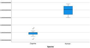 Incus length. Analysis of goat and human incus length measurements.