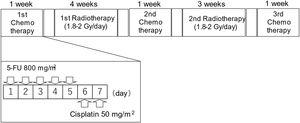 Study design of alternating chemoradiotherapy. During the course of chemotherapy (one-week period; three cycles), patients were irradiated at 2- or 3-day intervals of chemotherapy. 5-fluorouracil (5-FU) (800mg/m2/day) was intravenously administered continuously for 24h from days 1 to 5. Cisplatin (50mg/m2/day) was intravenously administered continuously for 24h from days 6 to 7. The same chemotherapy regimen was used in all three cycles of chemotherapy. Radiotherapy was delivered to the nasopharynx and whole neck, at 1.8–2Gy/fraction, 5 fractions/week, until a dose of 50Gy. Subsequent radiotherapy was delivered to the primary region and the remaining lymph nodes. The total dose during the study period was 68.4–73.4Gy in 35–40 fractions.