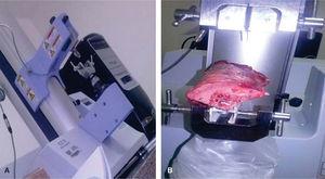 Shimadzu EZ-S texture analyzer. It was used for development of rheological tests in the pig mandibles. B) Fragment of a pig mandible attached to the texture analyzer used for rheological tests.