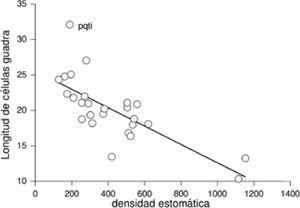 Relación entre densidad estomática y longitud de las células guarda en las Asteraceae de la REPSA actuales (Acrónimo de la especie en el Cuadro 1).