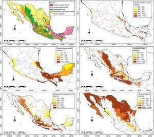 Checklist of the native vascular plants of Mexico | Revista Mexicana de ...