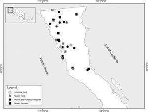 Locations of historical (1970 and 1992) and recent (2002–2014) records of Golden Eagle in Baja California, Mexico, including the historical (1893–2002) and recent (2011–2014) nesting records.