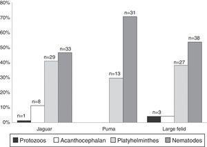 Prevalence of the parasitic phyla found in fecal samples of free-ranging jaguar and puma inhabiting tropical forests in southeastern Mexico.