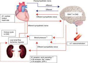 New Treatment for Old Disease: Management of Resistant Hypertension by ...