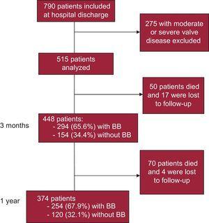 Flow chart of patients assessed during 1 year of follow-up. BB, beta-blockers.