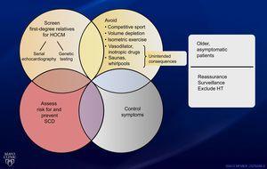 Management of Symptomatic Hypertrophic Cardiomyopathy: Pills, Alcohol ...