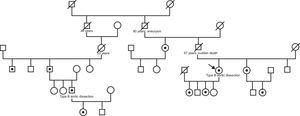 Family tree. Arrow, index case; square/circle with a dot, ACTA2 mutation carrier; barred square/circle, deceased.