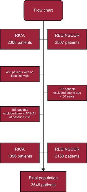 Flow chart of the study population. The figure illustrates the patient flow chart that led to the final sample size and the reasons for exclusion of some patients. NYHA, New York Heart Association functional class.
