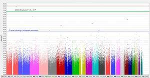 Manhattan plot of a genome-wide association study. Chr, chromosome; GWAS, genome-wide association study.