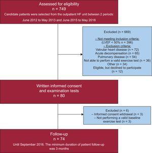 Flowchart for patient inclusion and follow-up. HF, heart failure; LVEF, left ventricular ejection fraction.