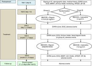 Flowchart of the BRAKE-AF clinical trial visits and procedures. 6MWT, 6minute walk test; AFEQT, Atrial Fibrillation Effect on QualiTy-of-life; BB, beta-blockers; CCB, calcium channel blockers (nondihydropyridine); ECG, electrocardiogram; EHRA, European Heart Rhythm Association; IC, informed consent; SF-36, The Medical Outcomes Study 36-item Short-Form Health Survey.