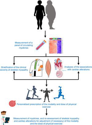 Sequencing strategy for the implementation of myokines in patients with heart failure and skeletal myopathy as biomarkers to personalize the modality and the dose of physical exercise in each patient.