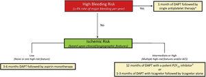 Framework for duration and intensity of dual antiplatelet therapy in relation to bleeding and ischemic risk. High bleeding risk is defined by the Academic Research Consortium as a major bleeding rate of at least 4% at 1 year or intracranial hemorrhage risk of 1% at 1 year. Ischemic risk is categorized based on clinical (diabetes mellitus requiring medication, peripheral arterial disease, acute coronary syndrome) and angiographic (multivessel percutaneous coronary intervention; stent length> 60mm; calcification requiring atherectomy) features associated with excess thrombosis. ACS, acute coronary syndrome. DAPT, dual antiplatelet therapy. Adapted, with permission from Baber et al.8 ">a High bleeding risk patients with concomitant atrial fibrillation receiving oral anticoagulation may be treated with clopidogrel alone and a direct oral anticoagulant. ">b Deescalation from prasugrel or ticagrelor to clopidogrel may be considered based upon genetic or platelet function testing.