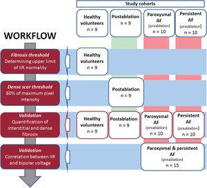 Workflow, cohorts used in the present study and summary of the workflow. AF, atrial fibrillation; IIR, image intensity ratio.